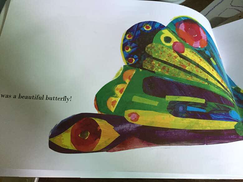 ���汾��5�ڡ�the very hungry caterpillar