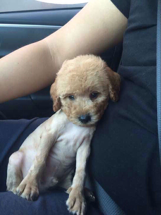 ���������