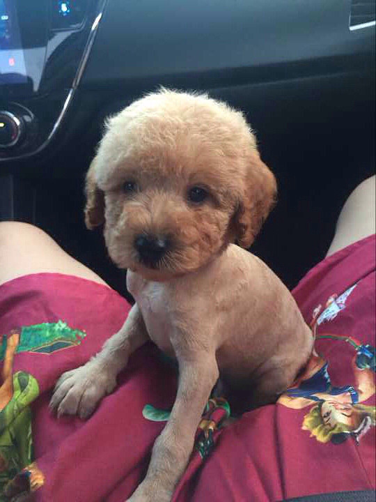 ���������