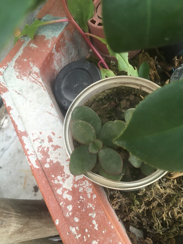 С��������