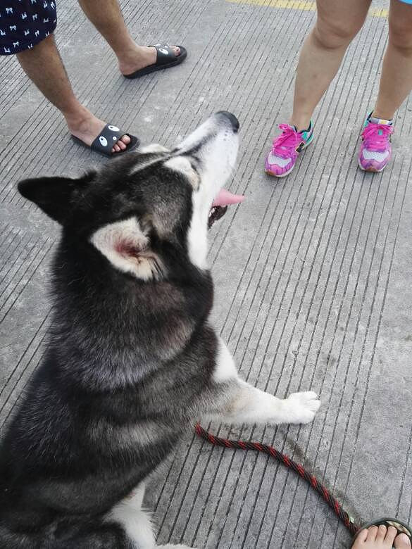 �񻷸�������û��ĸ�Ĺ�ʿ�棬�Ҽҹ�����