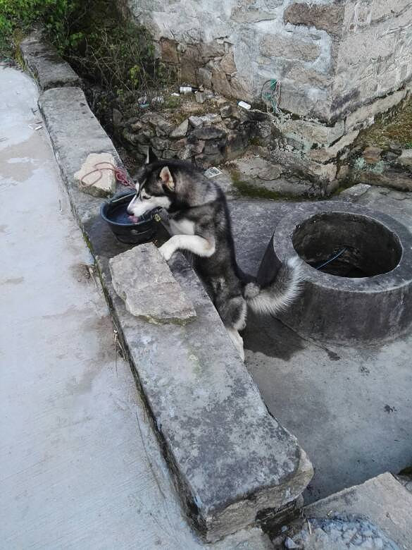 �񻷸�������û��ĸ�Ĺ�ʿ�棬�Ҽҹ�����