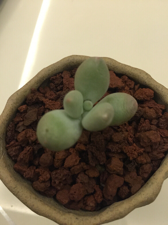 ���ҵĶ��⡿