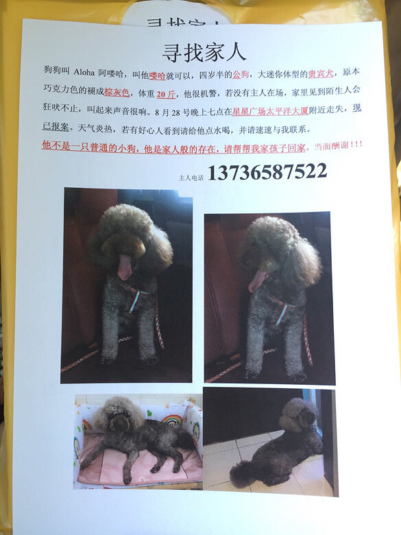 Ѱ�Ҽ��ˣ�Ѱ�Ұ�ඹ�