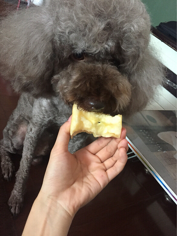 Ѱ�Ҽ��ˣ�Ѱ�Ұ�ඹ�