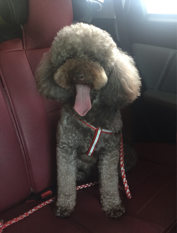 Ѱ�Ҽ��ˣ�Ѱ�Ұ�ඹ�