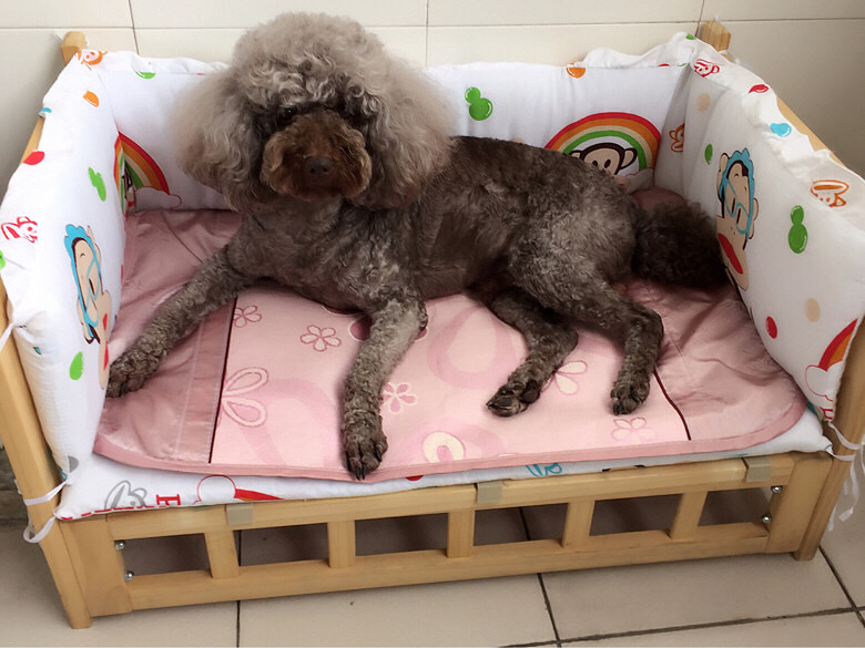 Ѱ�Ҽ��ˣ�Ѱ�Ұ�ඹ�