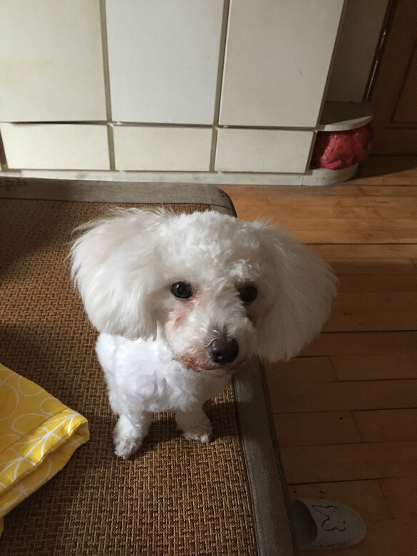 �������ˡ�������һ�ں���