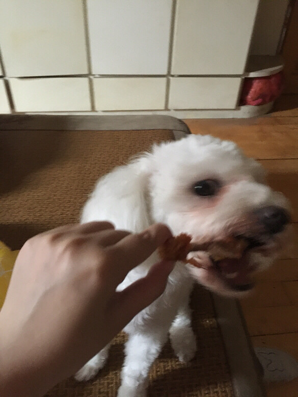 �������ˡ�������һ�ں���