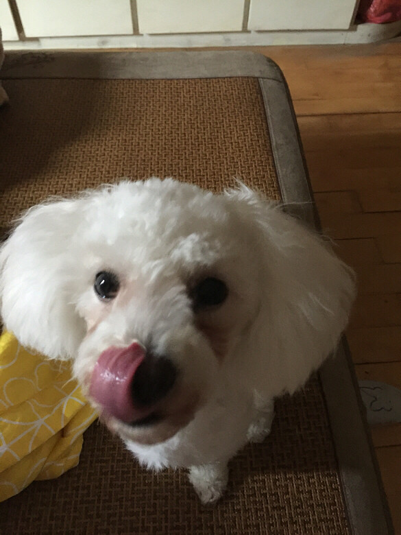 �������ˡ�������һ�ں���