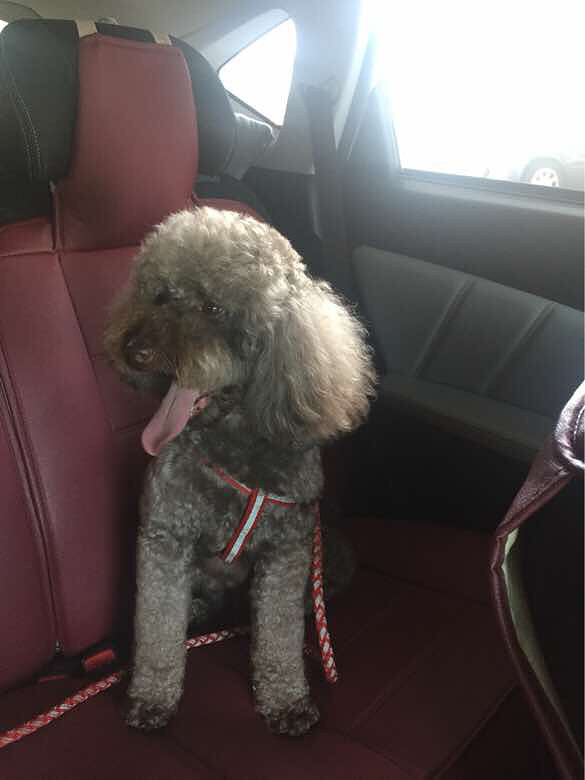 Ѱ�Ҽ��ˣ��ػ�ɫ�����Ȯ