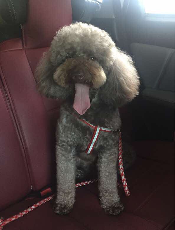 Ѱ�Ҽ��ˣ��ػ�ɫ�����Ȯ