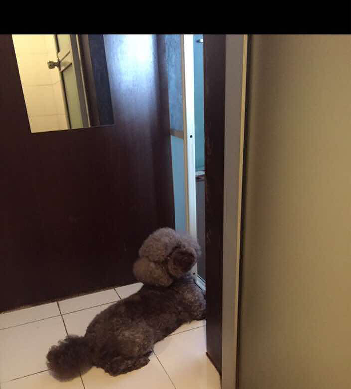 Ѱ�Ҽ��ˣ��ػ�ɫ�����Ȯ