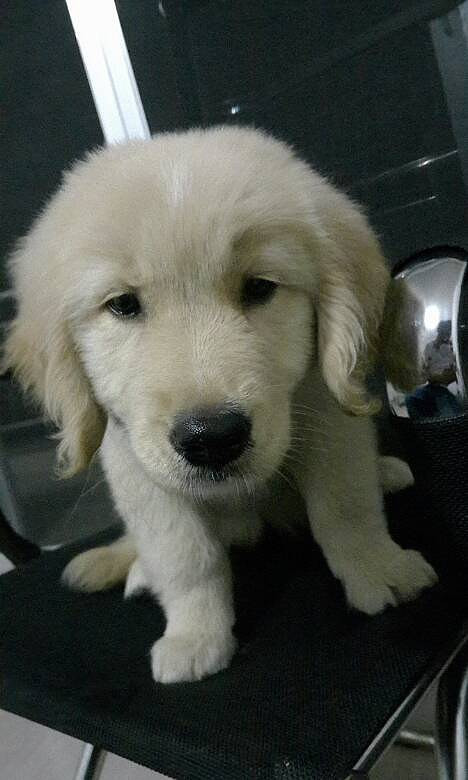 ��ë��Ȯĸ����