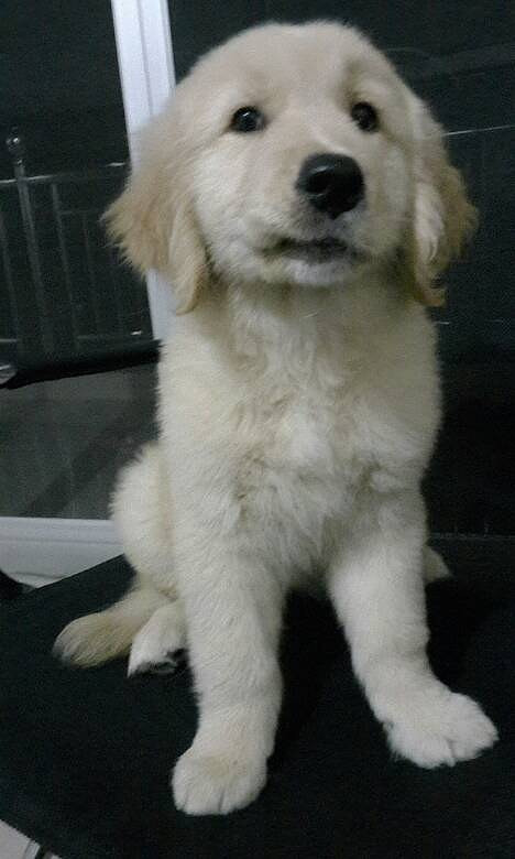 ��ë��Ȯĸ����