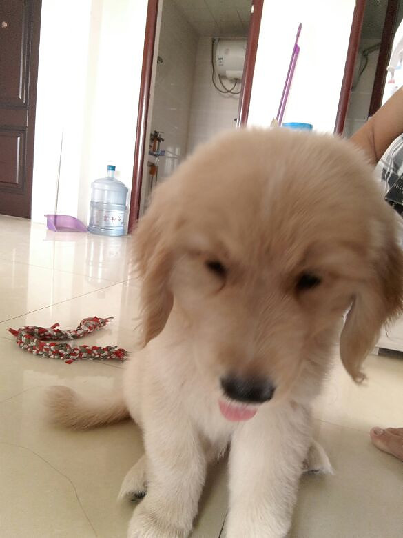 ��ë��Ȯĸ����