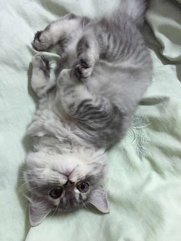 Ψè����ʳ���ɹ�����