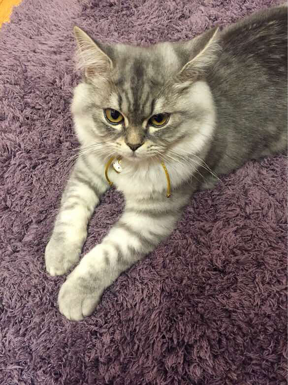 Ψè����ʳ���ɹ�����