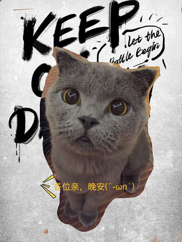 Ψè����ʳ���ɹ�����