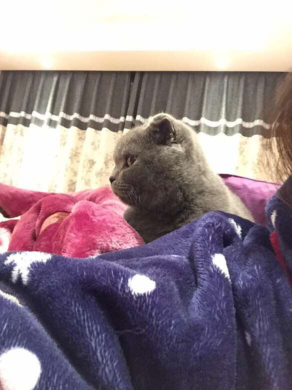 Ψè����ʳ���ɹ�����