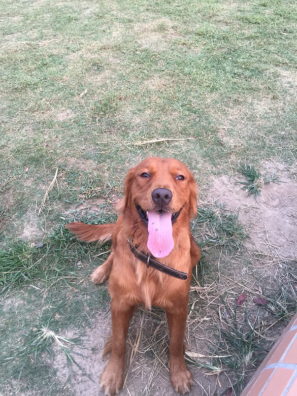 ������ 2���ë ��Ҫ�������һ�� ����