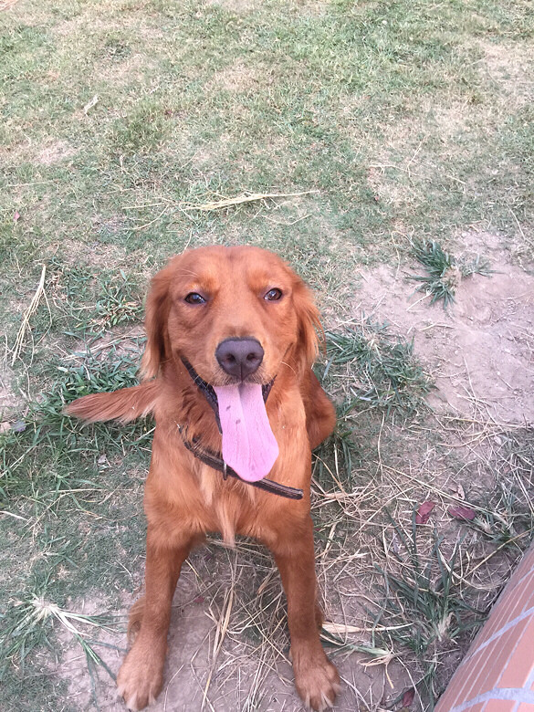 ������ 2���ë ��Ҫ�������һ�� ����