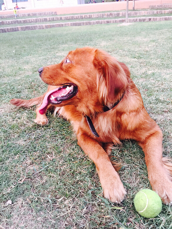 ������ 2���ë ��Ҫ�������һ�� ����