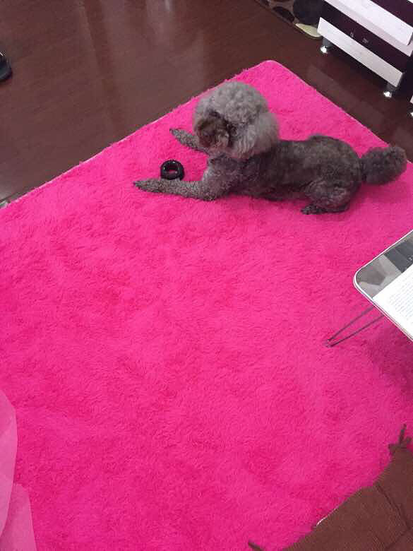 Ѱ�Ұ�ඹ����ػ�ɫ�����Ȯ