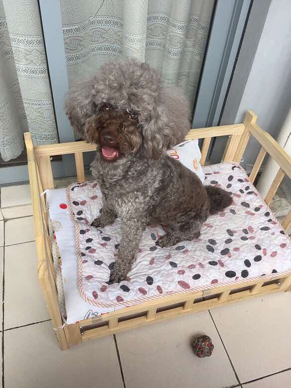 Ѱ�Ұ�ඹ����ػ�ɫ�����Ȯ