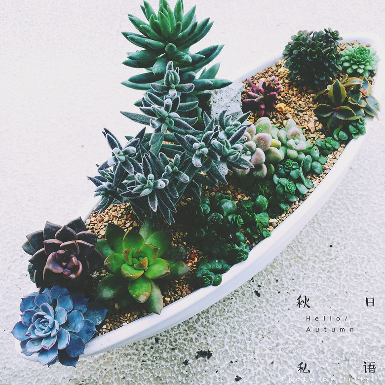 �ҵĶ��⣬Խ��Խ������