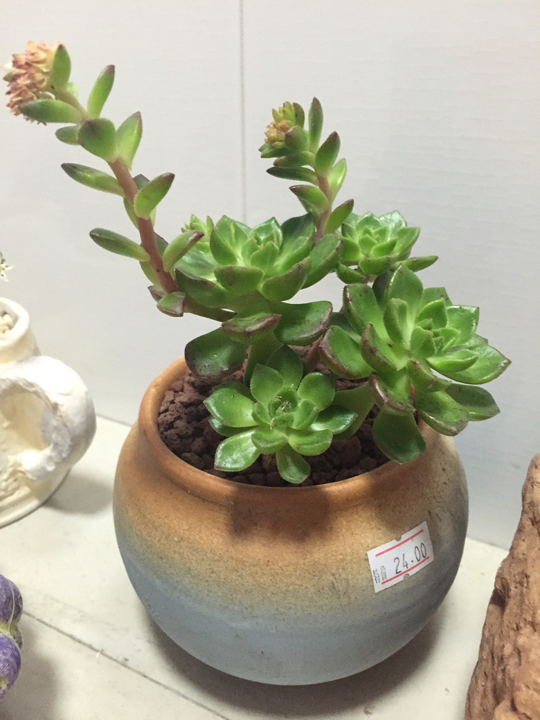 �ҵĶ��⣬Խ��Խ������