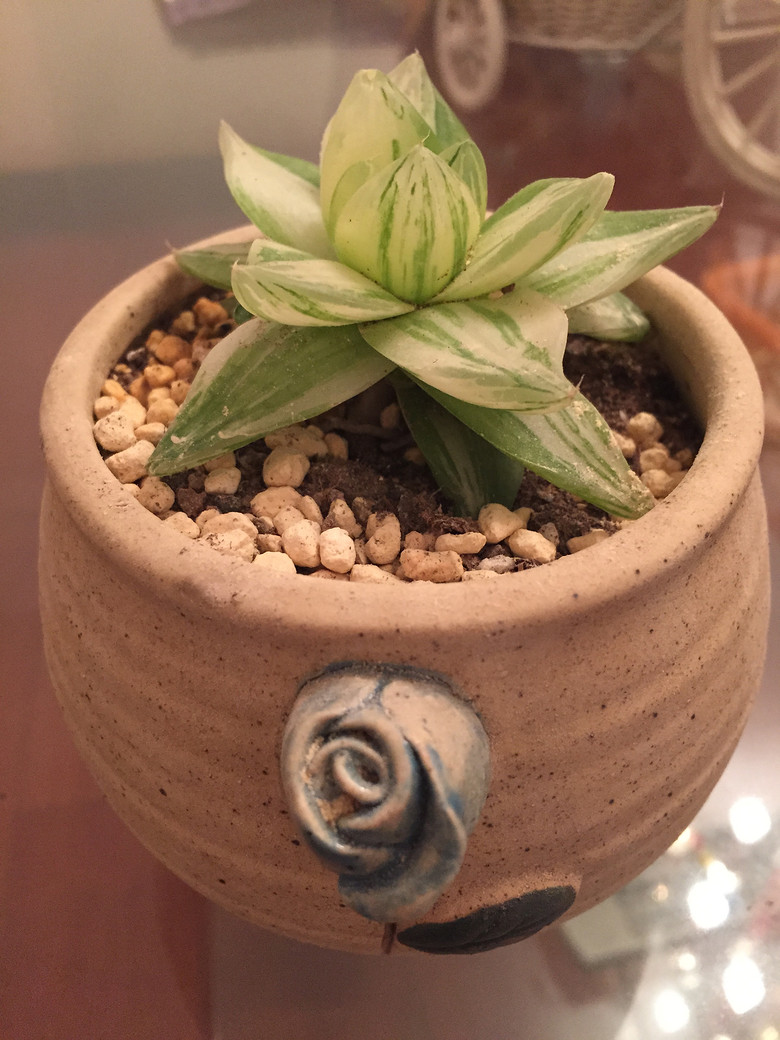 �ҵĶ��⣬Խ��Խ������