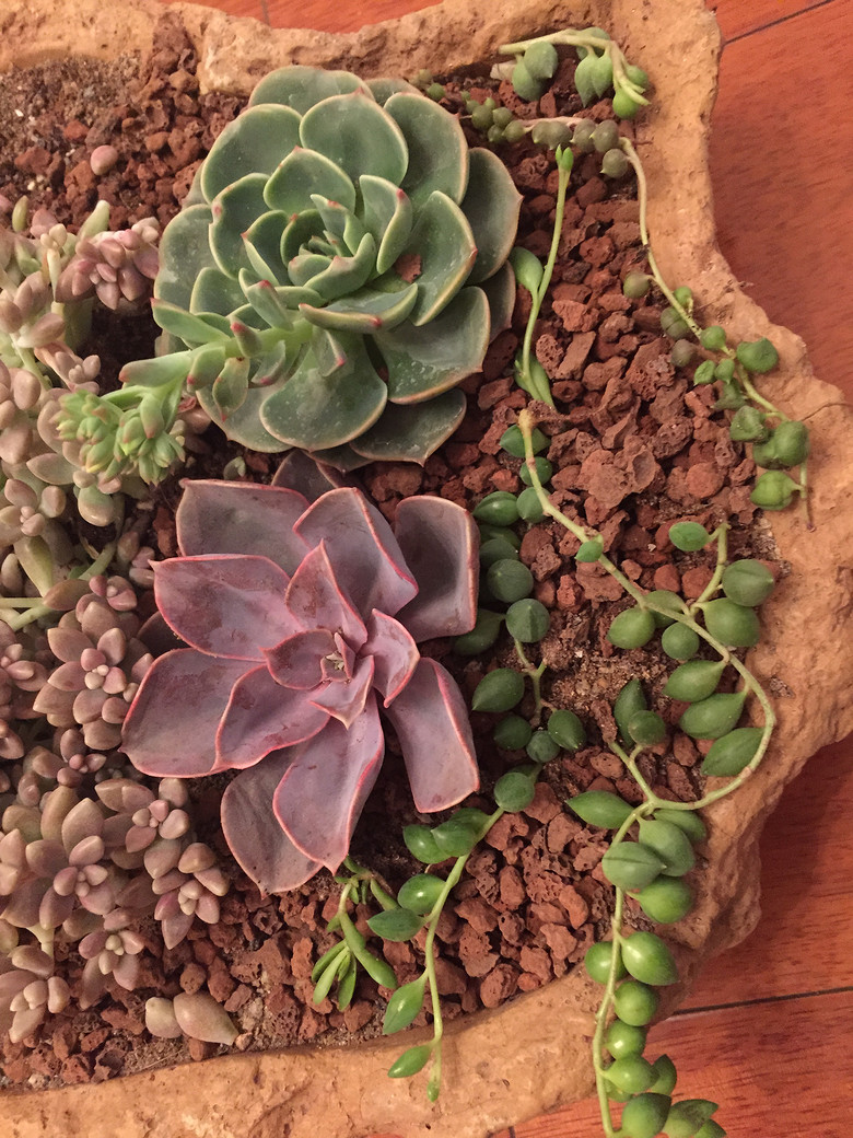 �ҵĶ��⣬Խ��Խ������