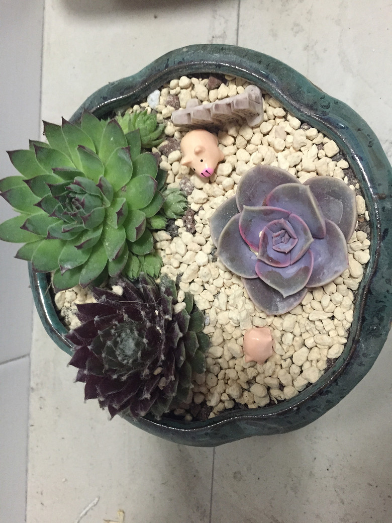 �ҵĶ��⣬Խ��Խ������