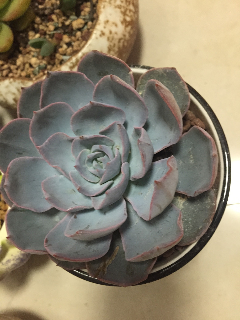 �ҵĶ��⣬Խ��Խ������