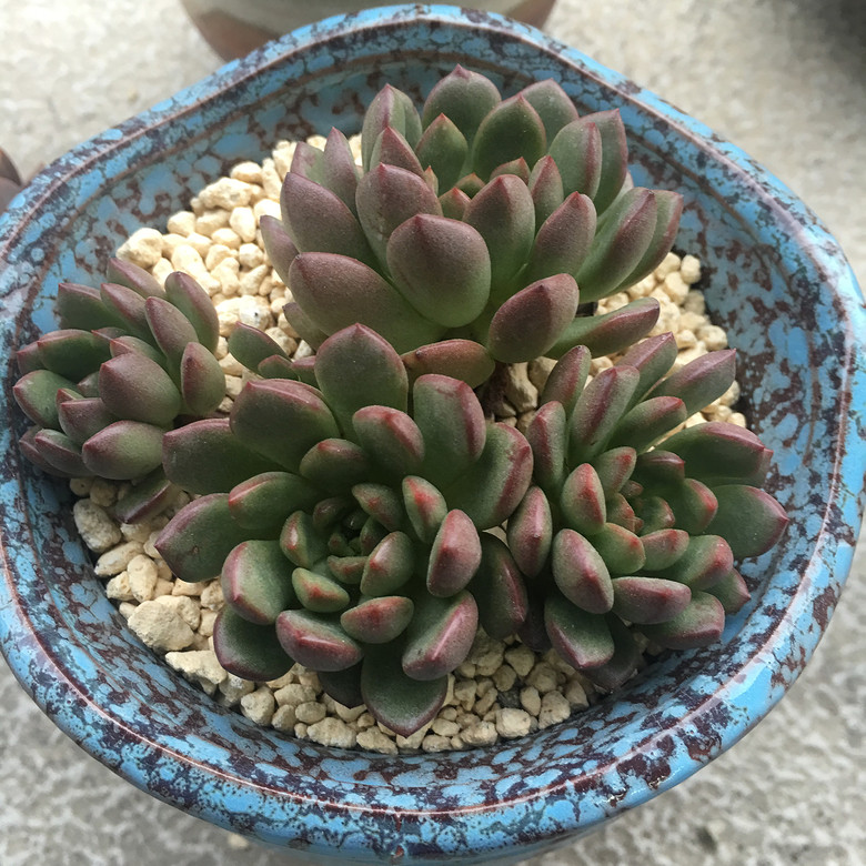 �ҵĶ��⣬Խ��Խ������