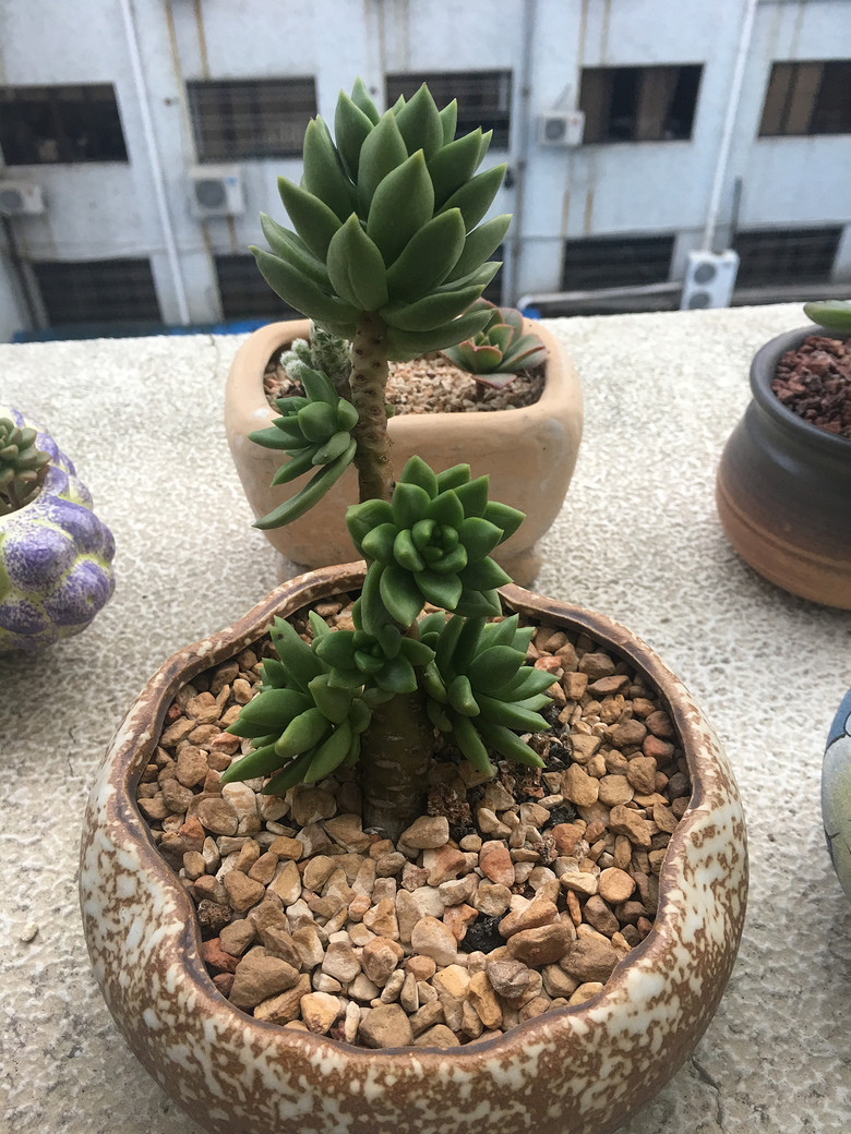 �ҵĶ��⣬Խ��Խ������