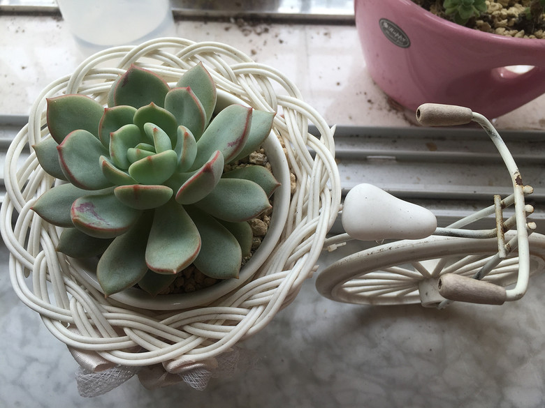 �ҵĶ��⣬Խ��Խ������