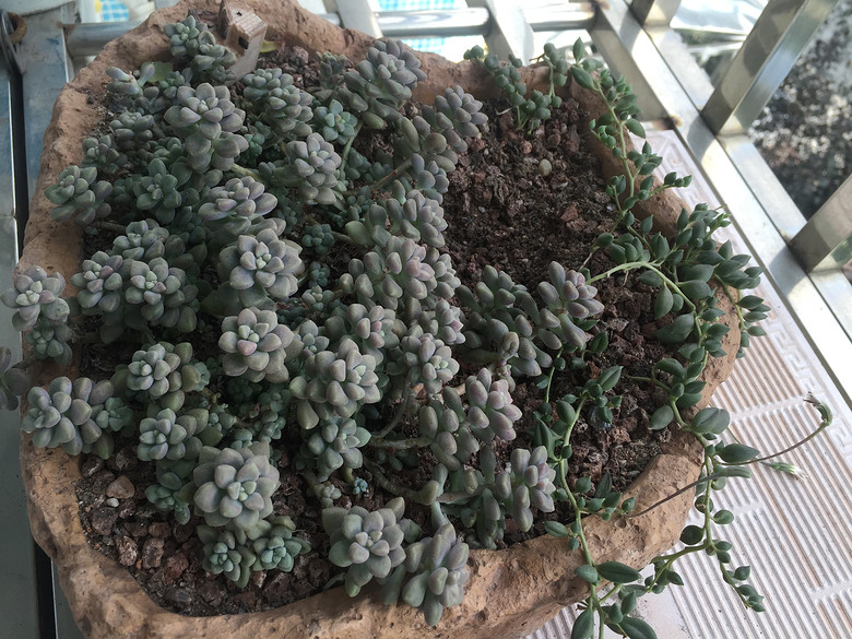 �ҵĶ��⣬Խ��Խ������