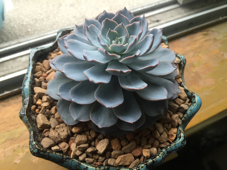 �ҵĶ��⣬Խ��Խ������