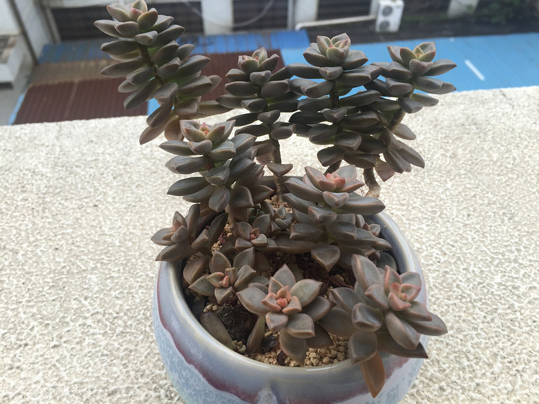 �ҵĶ��⣬Խ��Խ������