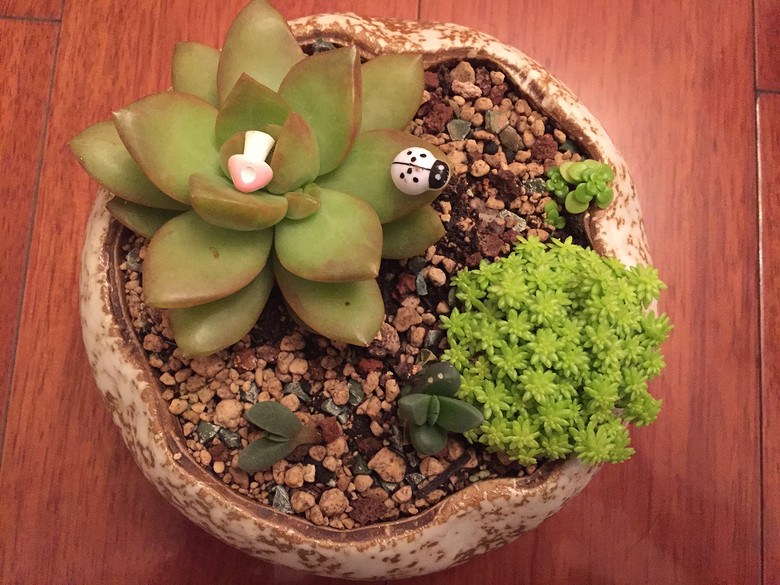 �ҵĶ��⣬Խ��Խ������