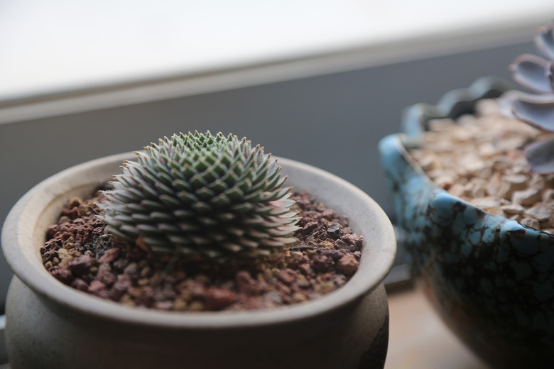 �ҵĶ��⣬Խ��Խ������