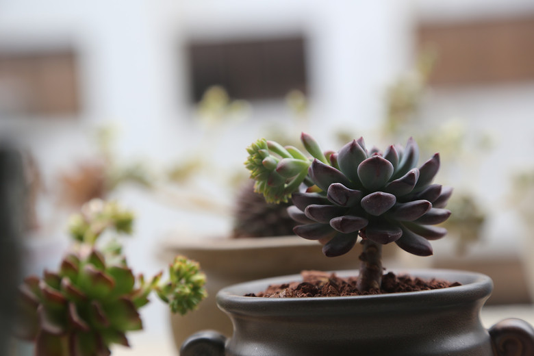 �ҵĶ��⣬Խ��Խ������