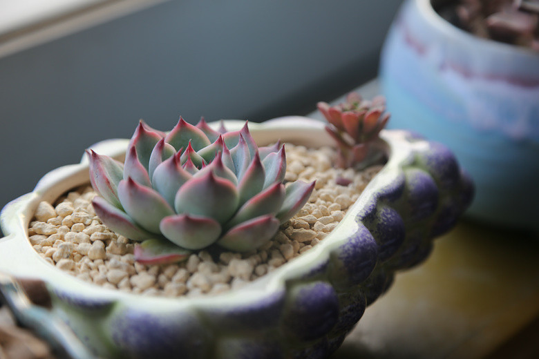 �ҵĶ��⣬Խ��Խ������