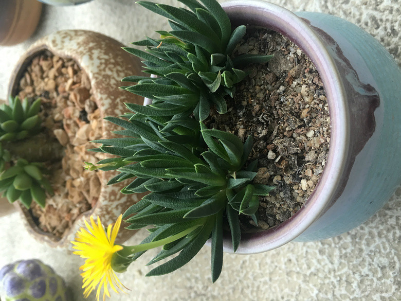 �ҵĶ��⣬Խ��Խ������