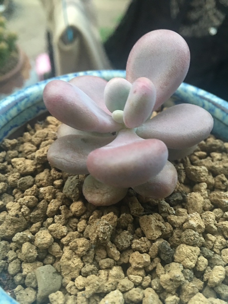 �ҵĶ��⣬Խ��Խ������