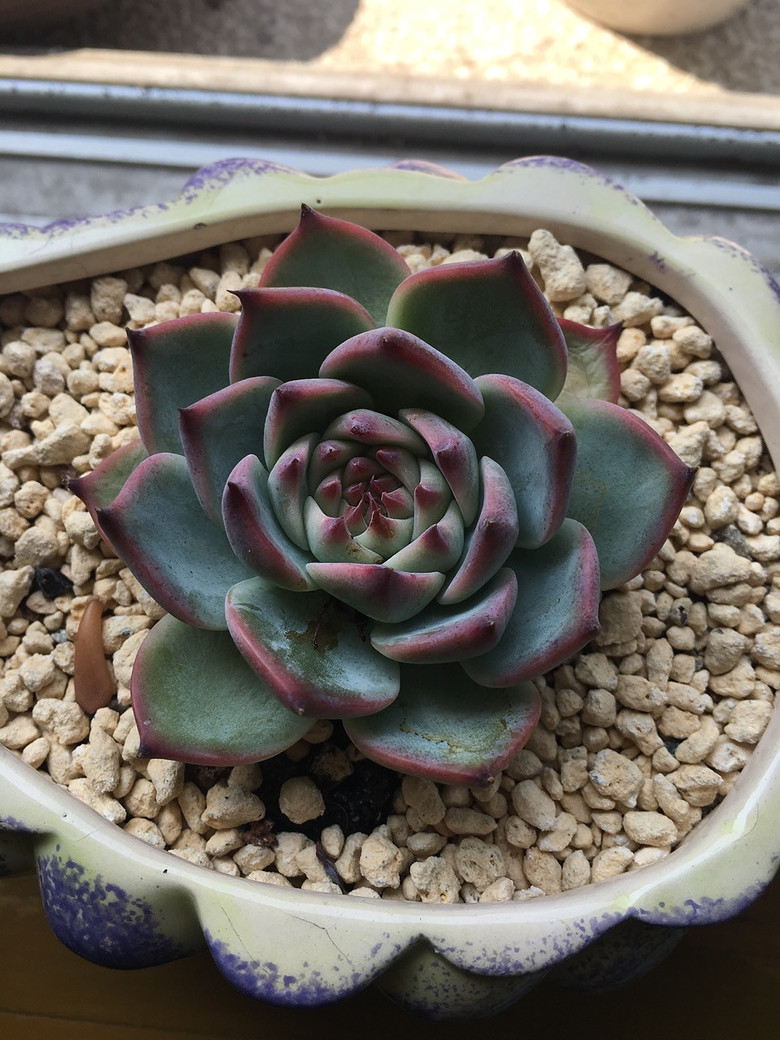 �ҵĶ��⣬Խ��Խ������