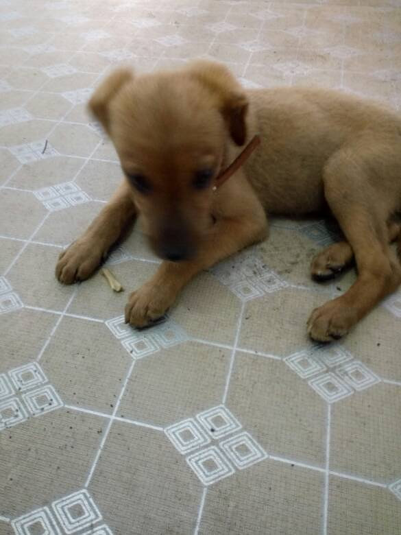 �ҵĶ�಻���ˣ������İ���ϣ������������