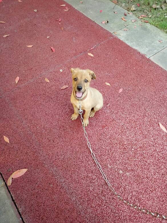 �ҵĶ�಻���ˣ������İ���ϣ������������